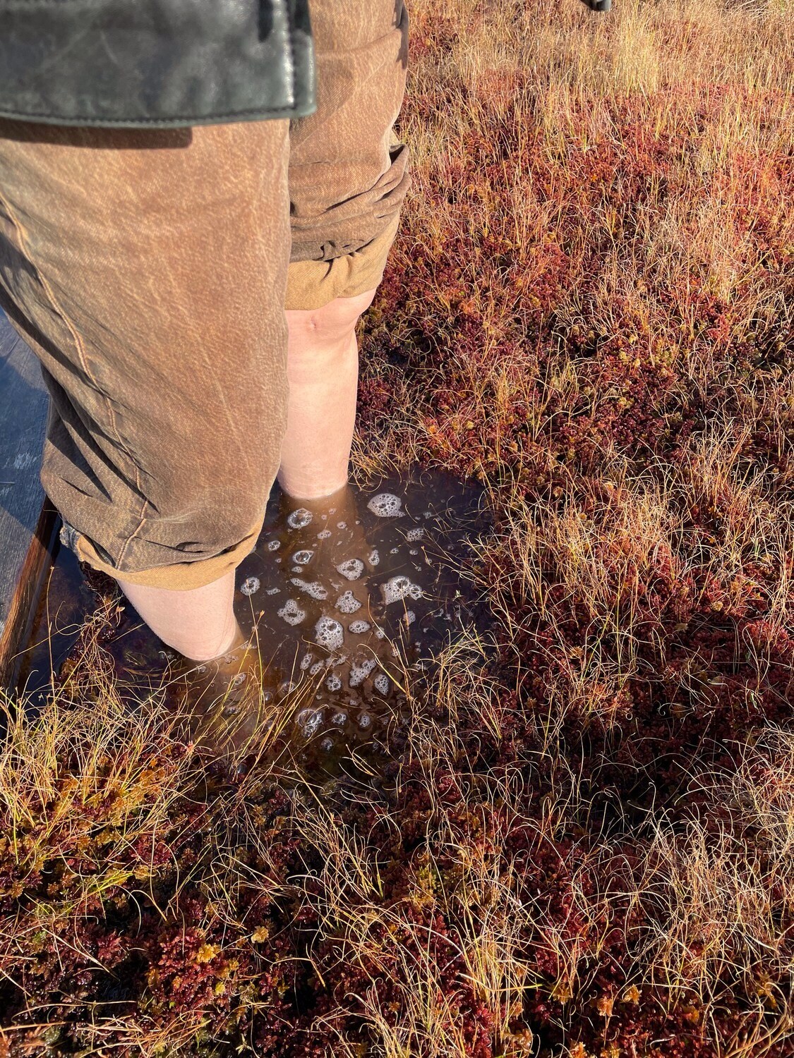 During the sound-walk through the Nigula Bog