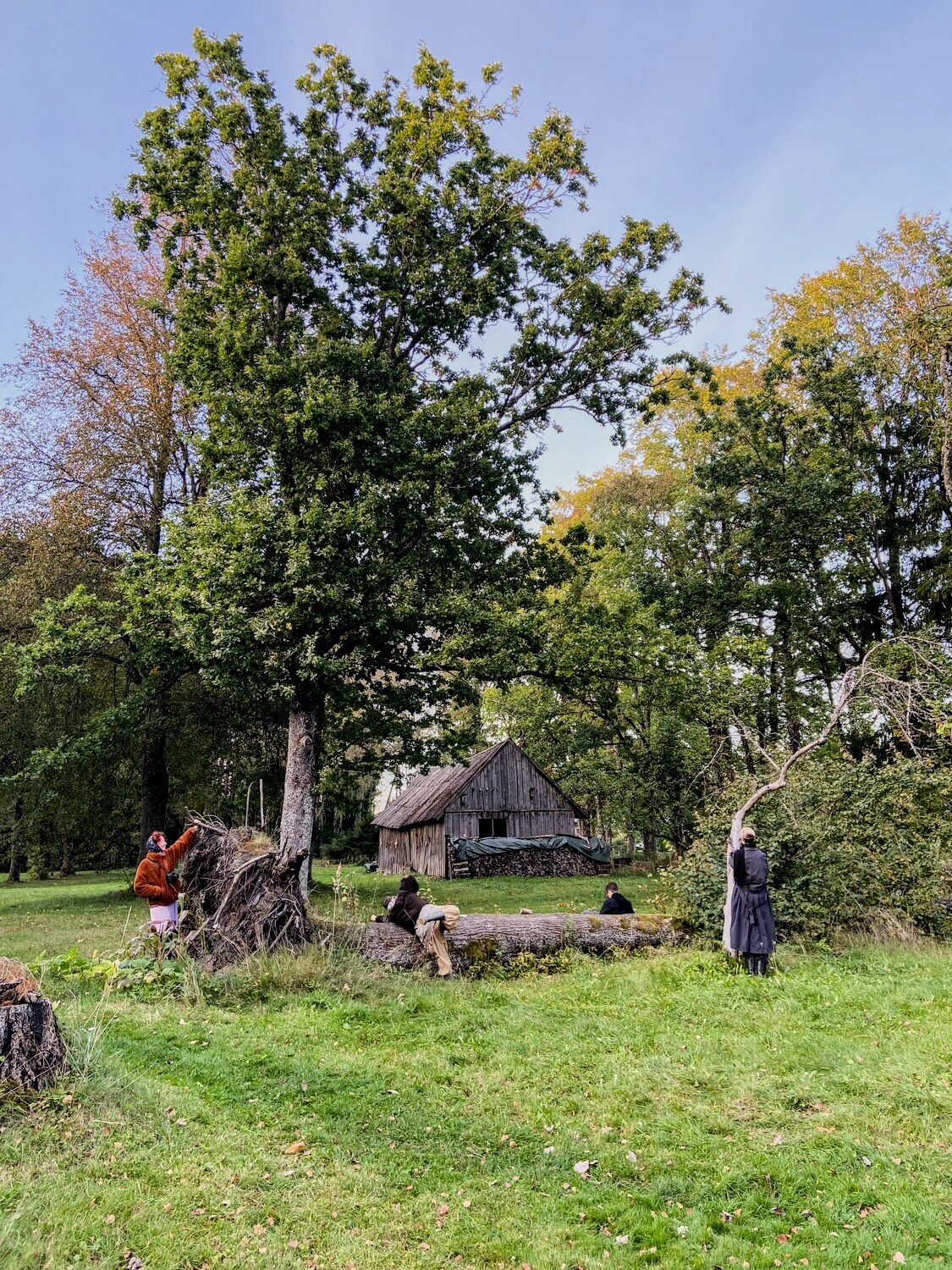 During micro-field-tripping: a set of listening, movement and writing exercises on more than human interaction